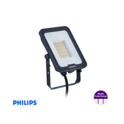 ΠΡΟΒΟΛΕΑΣ LED 30W 220-240VAC CCT PHILIPS